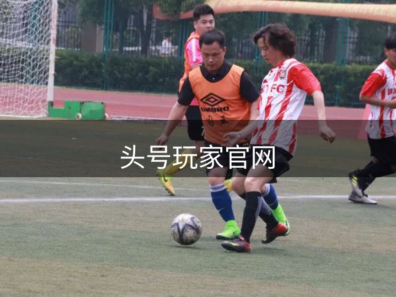 关于本站